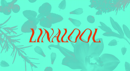 8 High-Linalool Strains Perfect for Relaxing